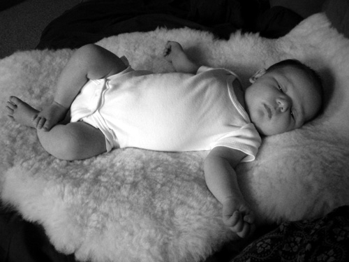 On the sheepskin